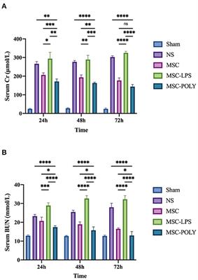 Poly(I:C)-Induced Mesenchymal Stem Cells Protect the Kidney Against Ischemia/Reperfusion Injury via the TLR3/PI3K Pathway